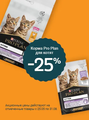 ProPlan toidud kassipojale