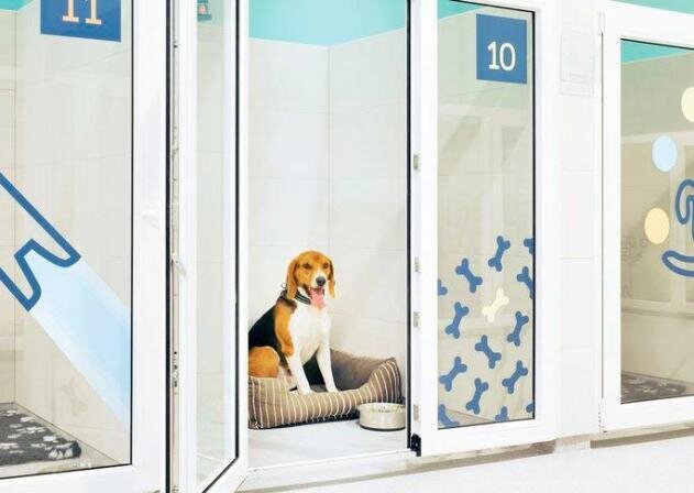 PetCity дает отпуск медицинским работникам
