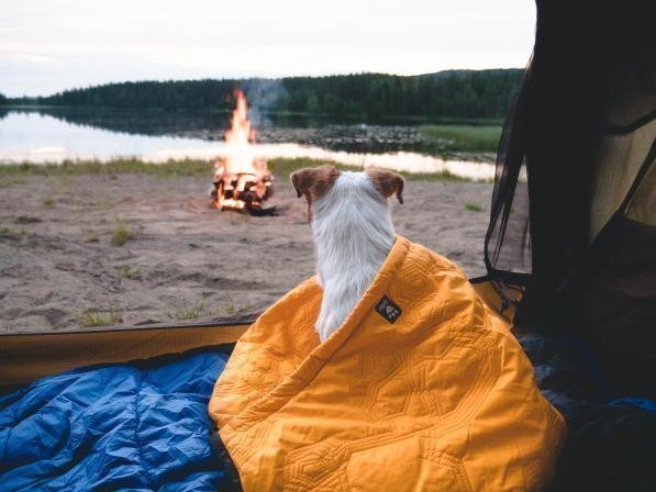 ТЕПЛОВОЙ УДАР