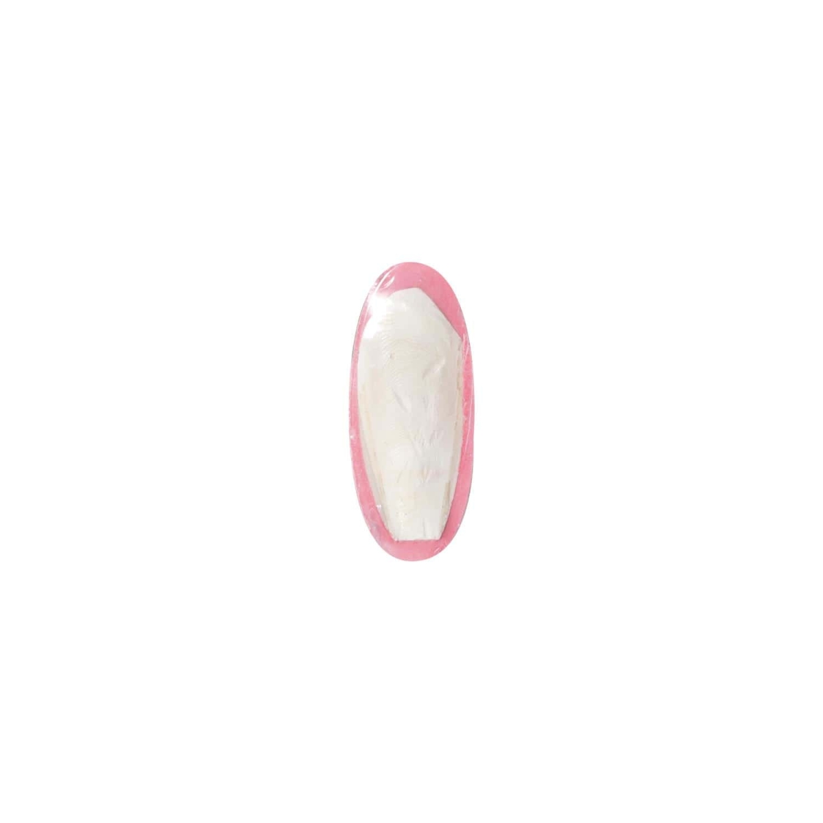 Flamingo кость сепии для птиц, клубника, 12 см