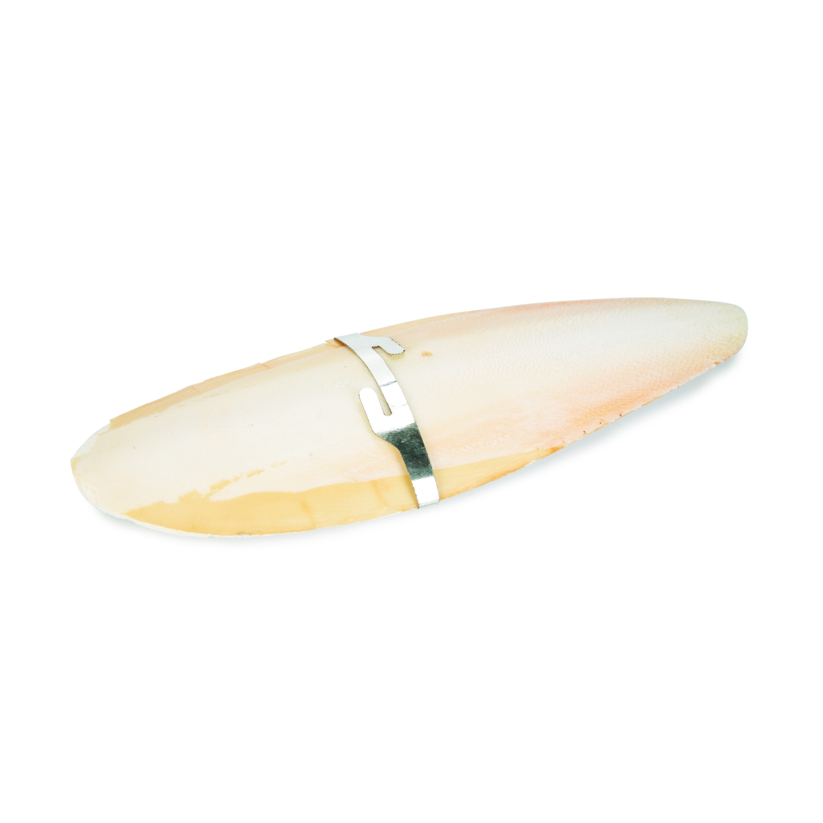 Beeztees Cuttlefish Bone минеральный камень для птиц, 20 см - Изображение товара