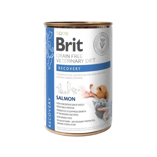 BRIT GF KASSI/KOERA KONSERV RECOVERY 400G*