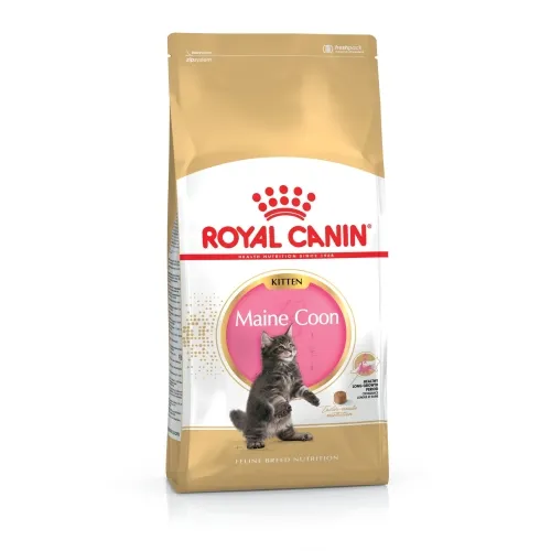 Royal Canin сухой корм для котят породы Мейн-кун, 400 г
