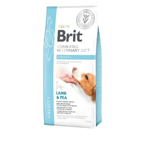 BRIT GF KOERA TÄISSÖÖT OBESITY 12KG*