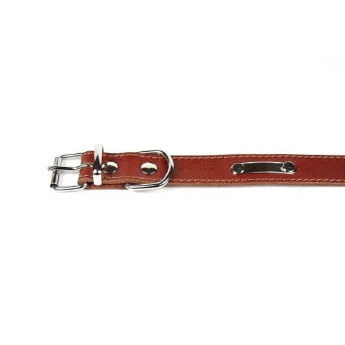 ONEGA KOERA KAELARIHM 25MMX40CM #