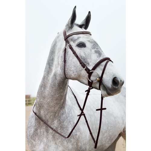 HORZE HOBUSE VALJAD WESTON PONY PRUUN
