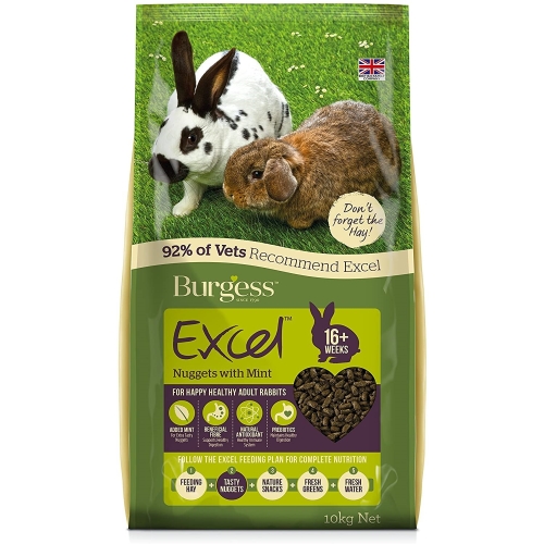 BURGESS EXCEL KÜÜLIKU TÄISSÖÖT MINT 10KG