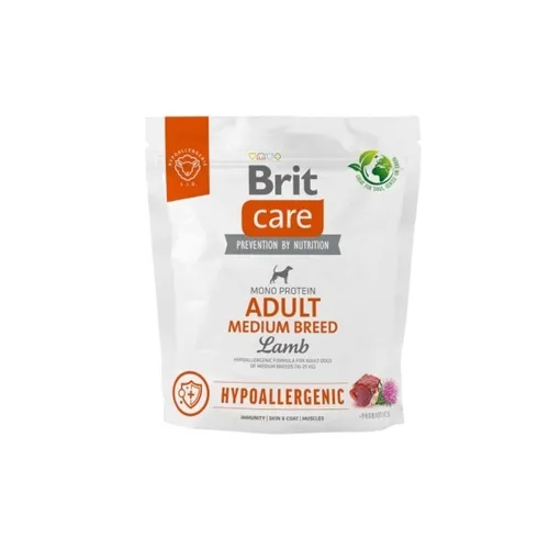 BRIT CARE KOERA TÄISSÖÖT KESK.TÕUG LAMMAS/RIIS 1KG #