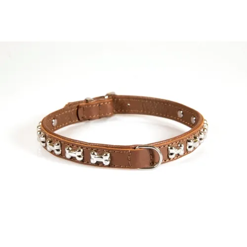 ONEGA KOERA KAELARIHM PAWS/BONES VOODR.VÄRVIV.18MM/45CM #