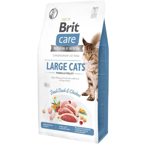 BRIT CARE KASSI TÄISSÖÖT LARGE CATS PART/KANA 400G*