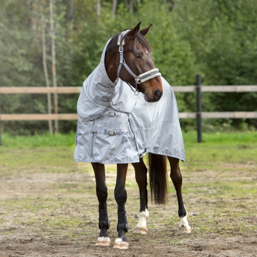 HORZE HOBUSE VIHMATEKK NEVADA 0G 145CM HALL #
