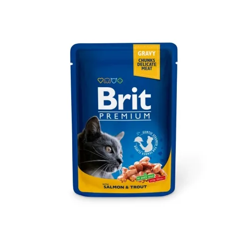 BRIT PREMIUM KASSI EINEKOTIKE KASTMES LÕHE/FORELL 100G*
