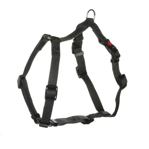 FLAMINGO KOERA H-TRAKSID ZIGGI XL T.HALL