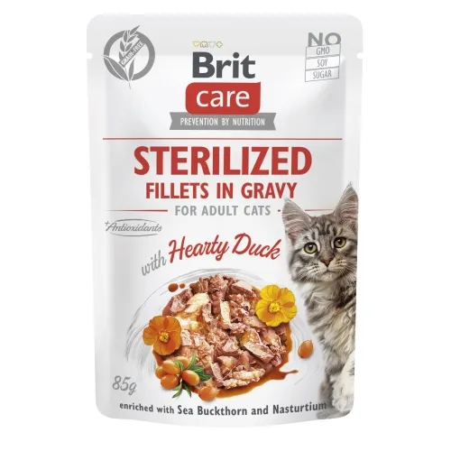 BRIT CARE KASSI EINEKOTIKE STERILIS. PART 85G*