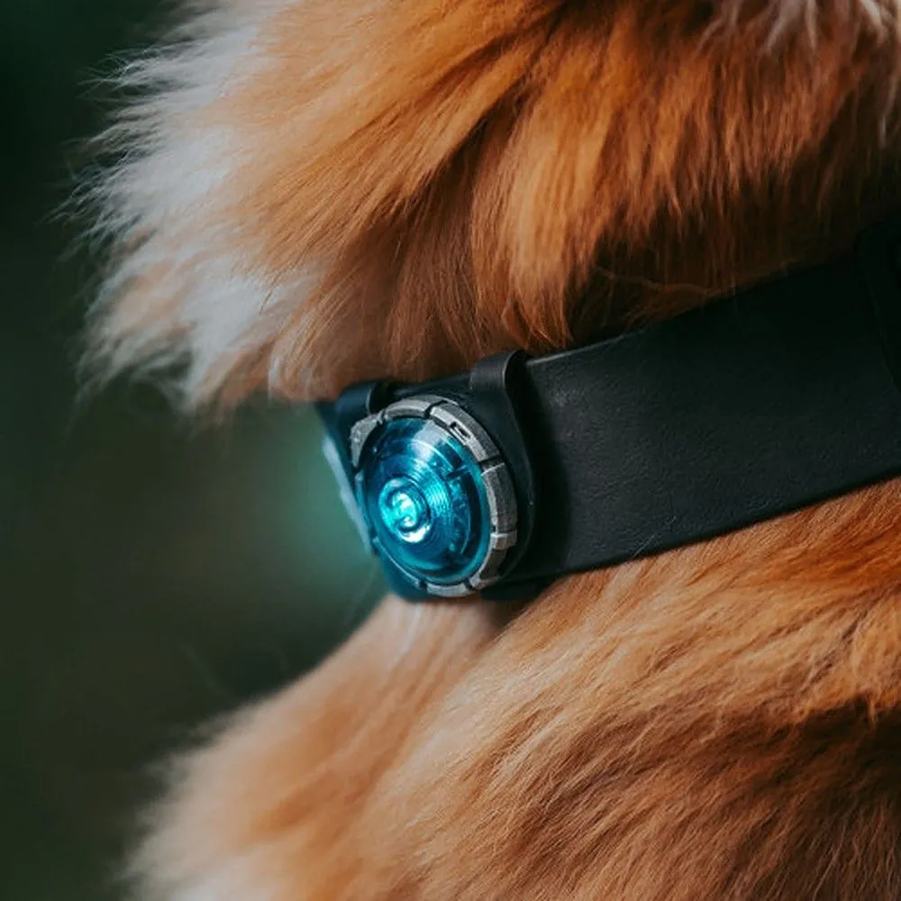Orbiloc Led Dual лампочка для собак, бирюзовый - Изображение товара 2