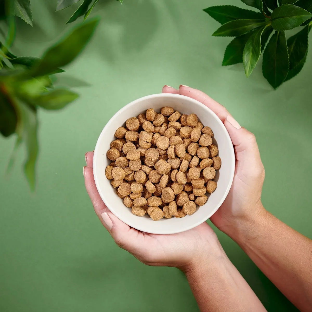 PURENATURAL KOERA TÄISSÖÖT KESKM. TÕUG 2KG* - Изображение товара 3