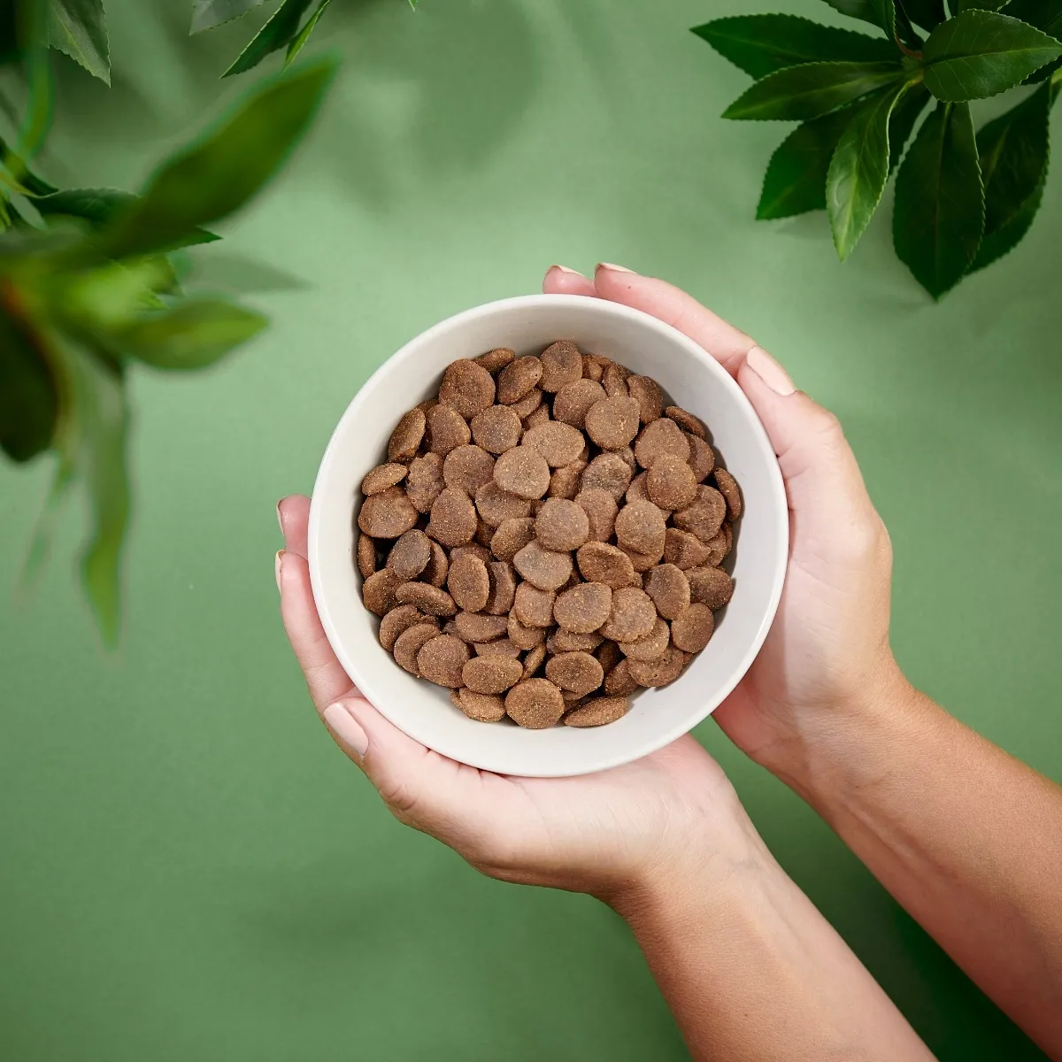 PURENATURAL KOERA TÄISSÖÖT TERAVILJAVABA SIGA 2KG* # - Изображение товара 3