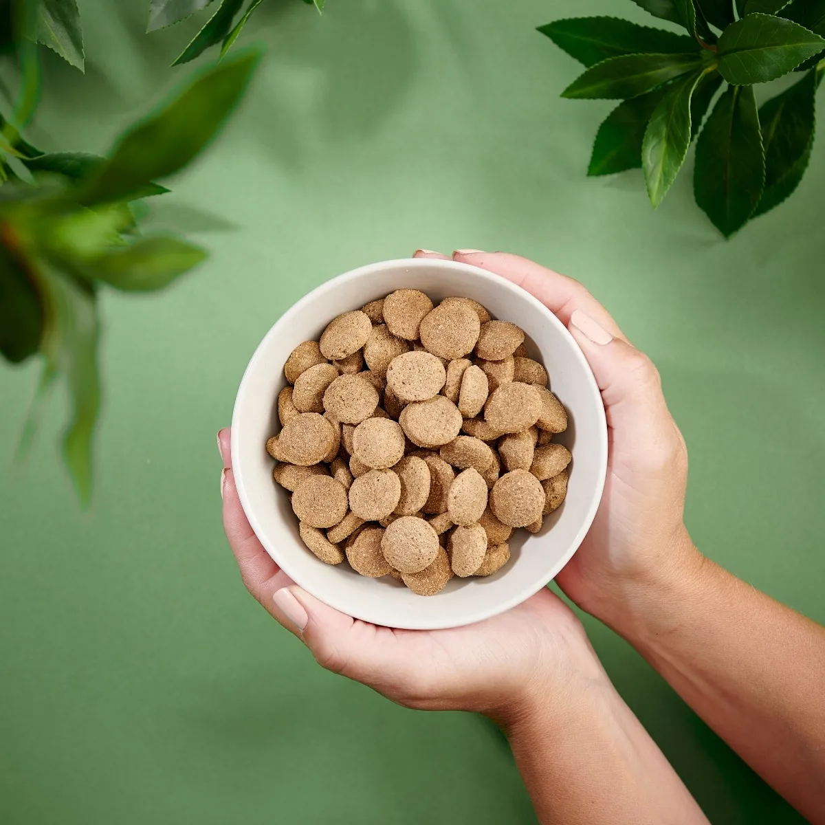 PURENATURAL KUTSIKA TÄISSÖÖT SUUR TÕUG 2KG* - Изображение товара 3