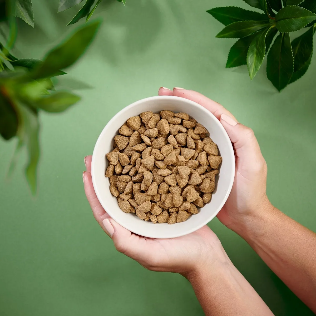 PURENATURAL KOERA TÄISSÖÖT SENSITIVE LÕHE 2KG* - Изображение товара 2