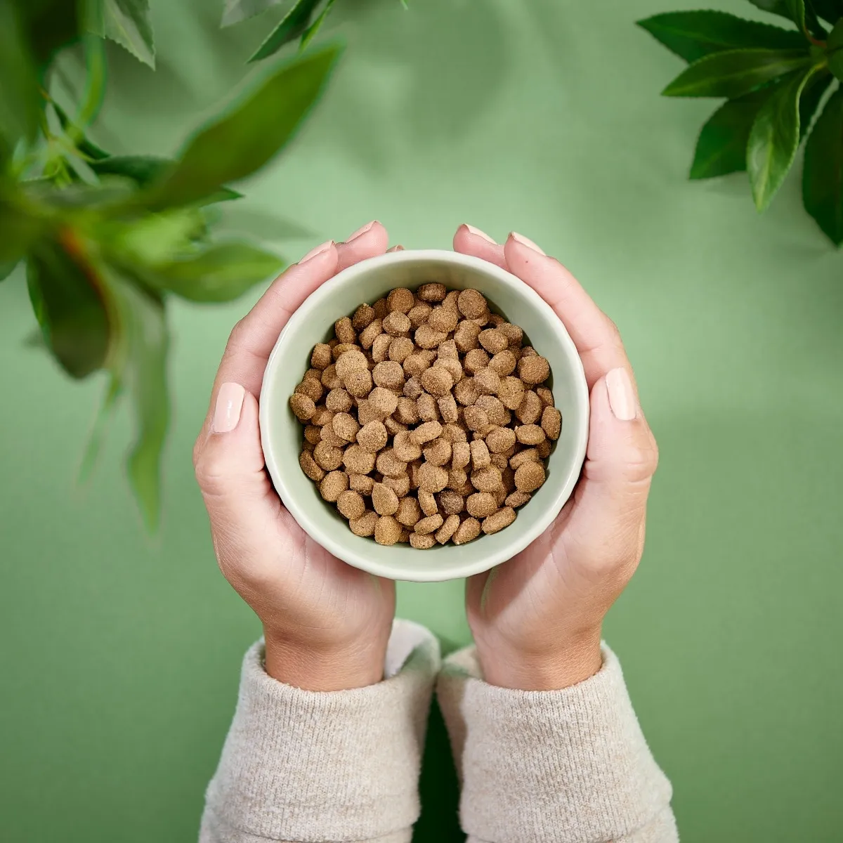 PURENATURAL KASSI TÄISSÖÖT TERAVILJAVABA STERIL. KANA 2KG* - Изображение товара 2