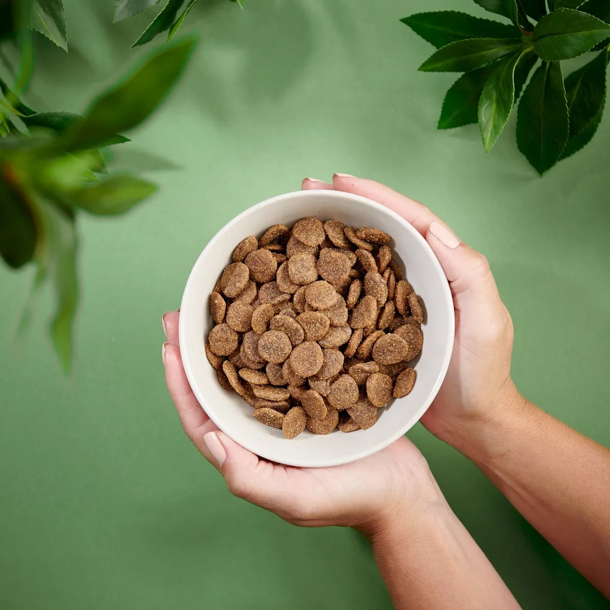 PURENATURAL KOERA TÄISSÖÖT TERAVILJAVABA KALKUN 2KG* - Изображение товара 2