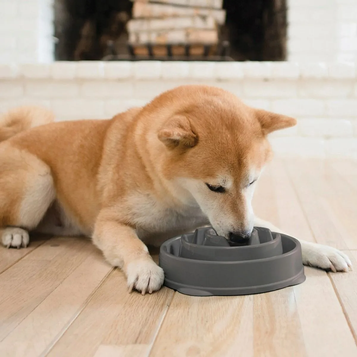 Миска Outward Hound Fun Feeder для медленного кормления, L, серая - Изображение товара 3