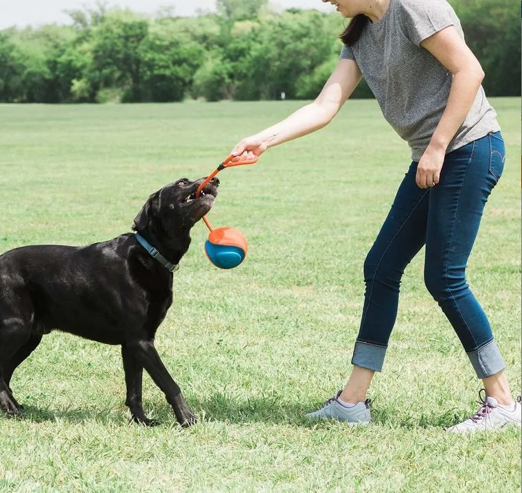Игрушка для собак Chuckit Rope Fetch - Изображение товара 3