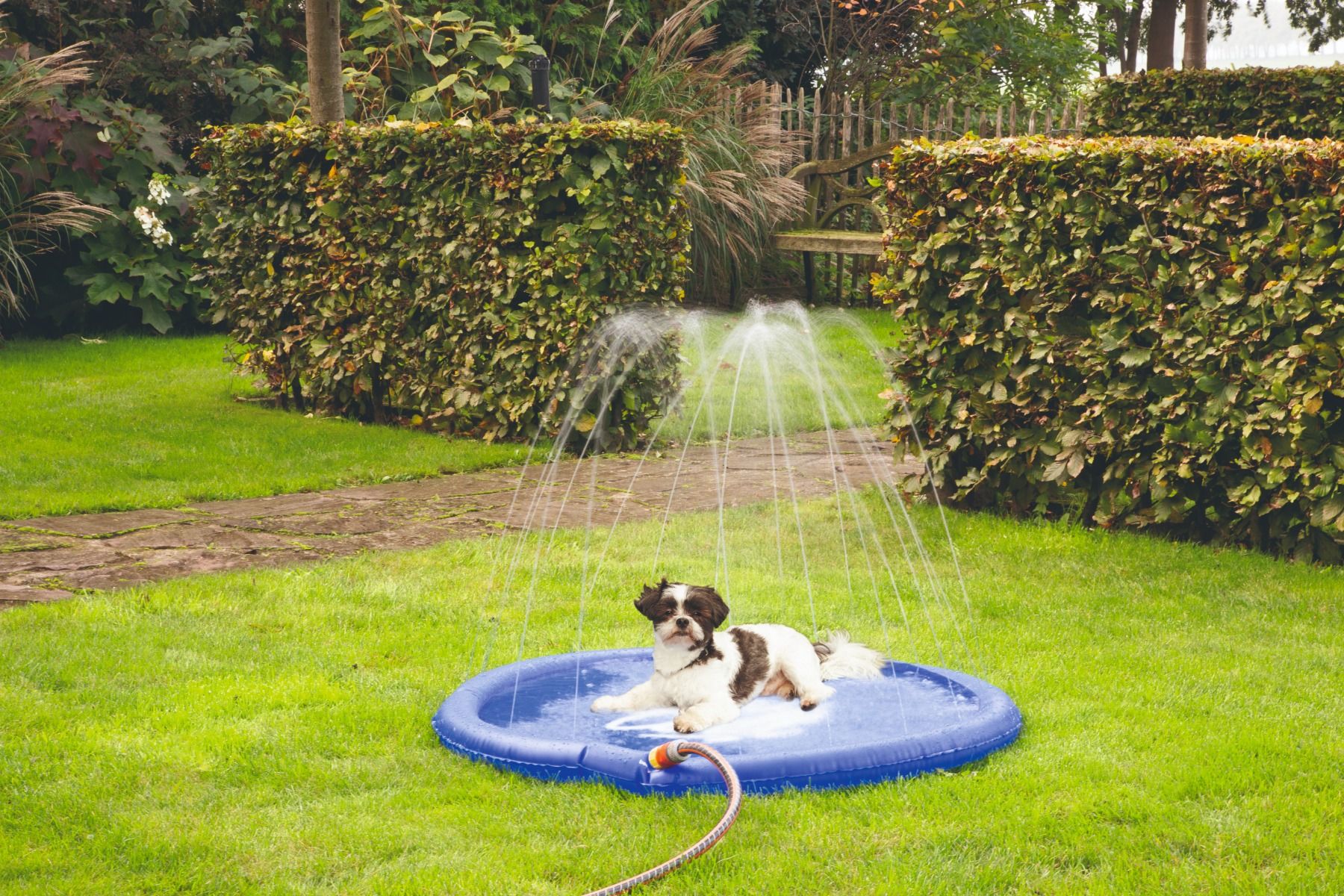 Коврик для собаки Beította Sprinkler Stay Cool 100 см