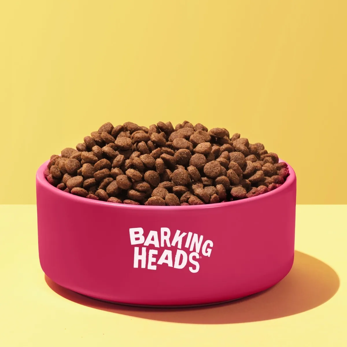 BH KUTSIKA TÄISSÖÖT PUPPY DAYS KALKUN 2KG - Изображение товара 3