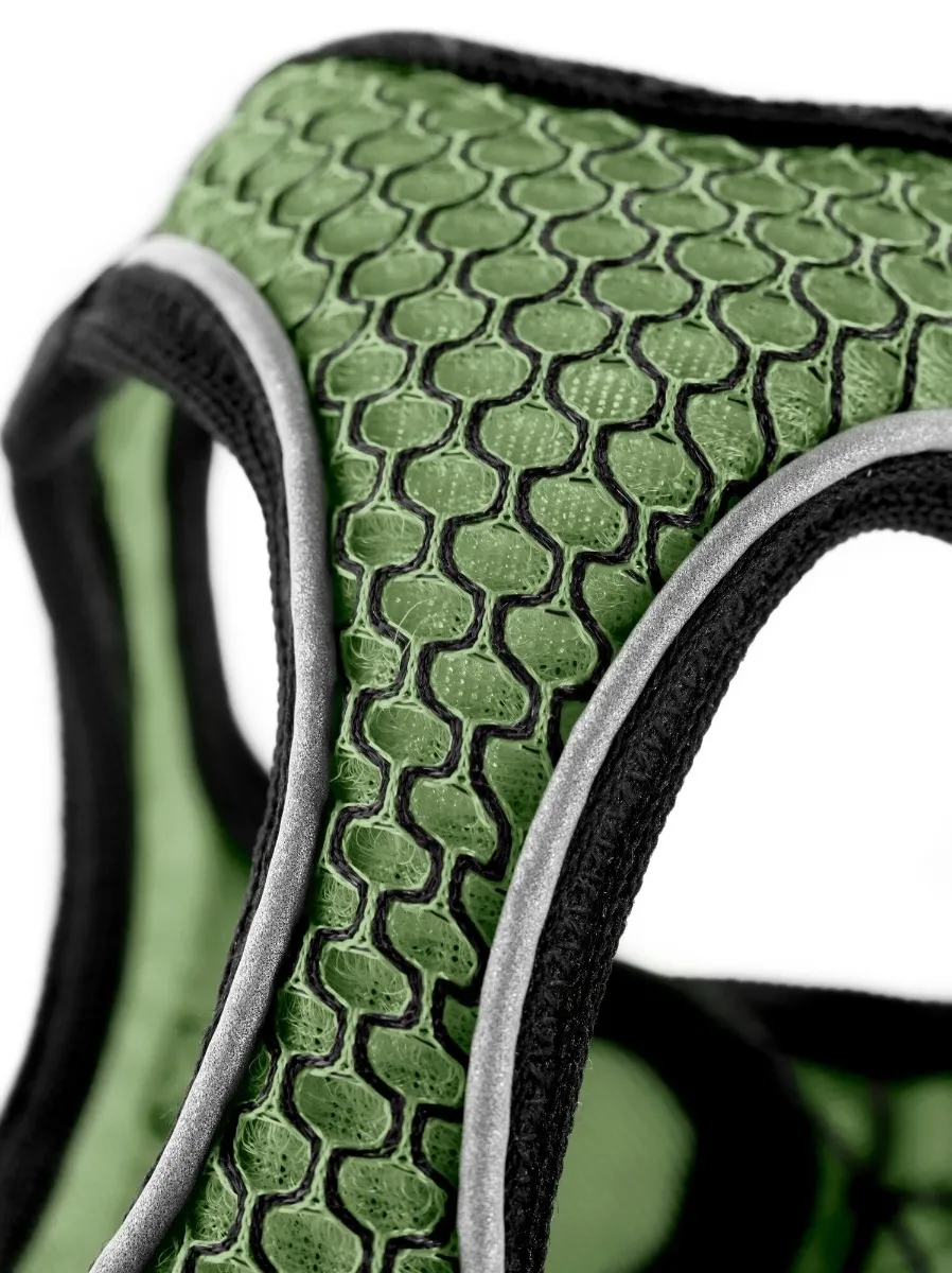 HUNTER KOERA TRAKSID HILO COMFORT XXS ROHELINE - Изображение товара 2