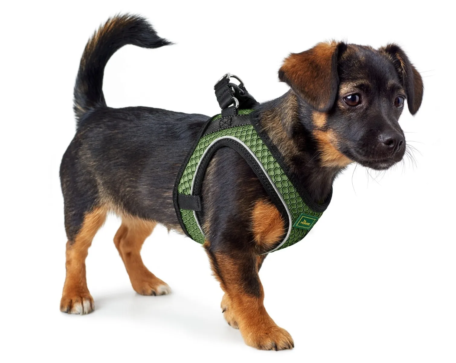 HUNTER DOG HARNESS HILO COMFORT S LINDEN GREEN # - Изображение товара 3