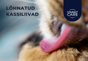 Lõhnatud