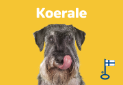 Koerale
