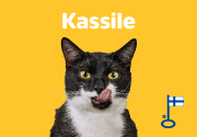 Kassile