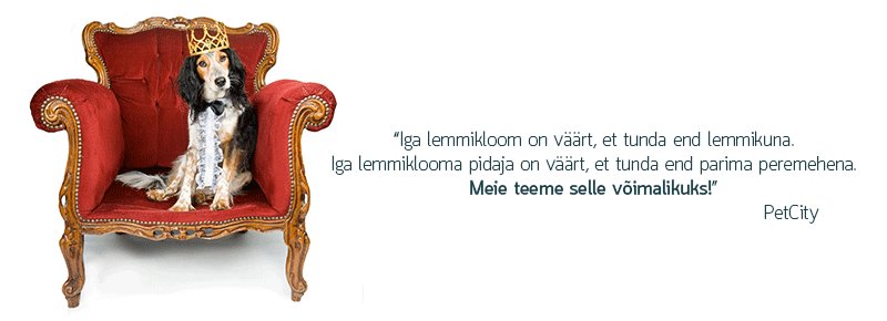 PetCity tööpakkumised